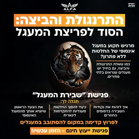 מודעה שהפקנו