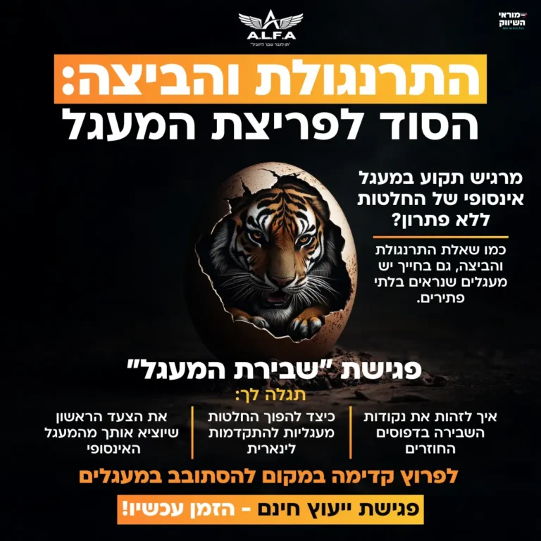 התרנגולת והביצה (1)